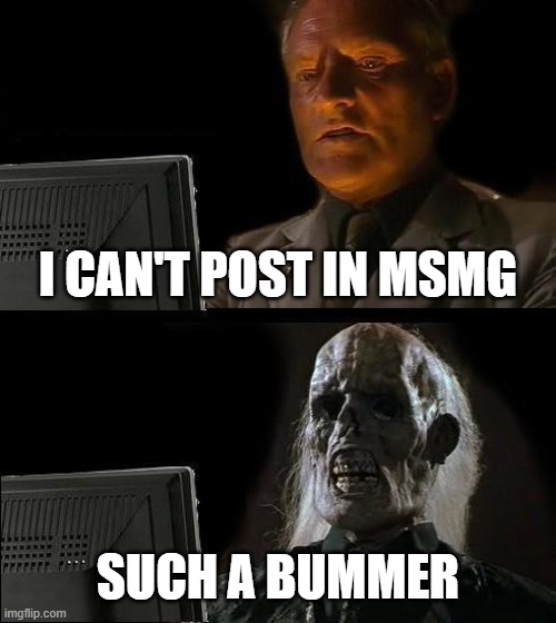 i can't post in fun either. | I CAN'T POST IN MSMG; SUCH A BUMMER | image tagged in memes,i'll just wait here | made w/ Imgflip meme maker