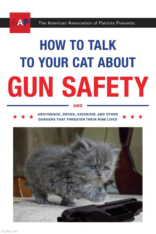 Cat safety | image tagged in true | made w/ Imgflip meme maker