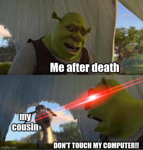 Me after death DON'T TOUCH MY COMPUTER!! my cousin | image tagged in shrek for five minutes | made w/ Imgflip meme maker