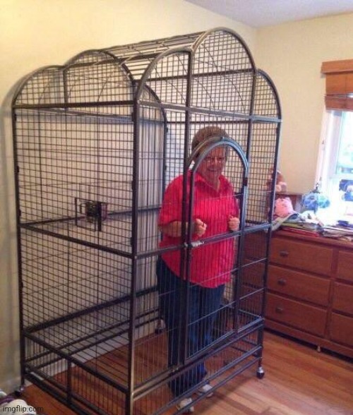 Granny in cage | image tagged in granny in cage | made w/ Imgflip meme maker