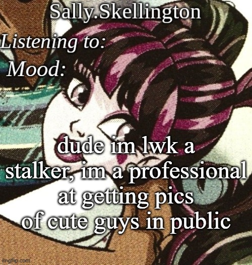 sally's temp | dude im lwk a stalker, im a professional at getting pics of cute guys in public | image tagged in sally's temp | made w/ Imgflip meme maker