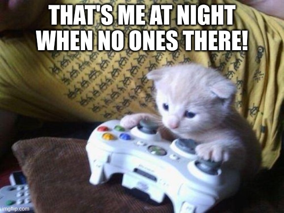 POV: me at night | THAT'S ME AT NIGHT WHEN NO ONES THERE! | image tagged in cute kitty on xbox | made w/ Imgflip meme maker