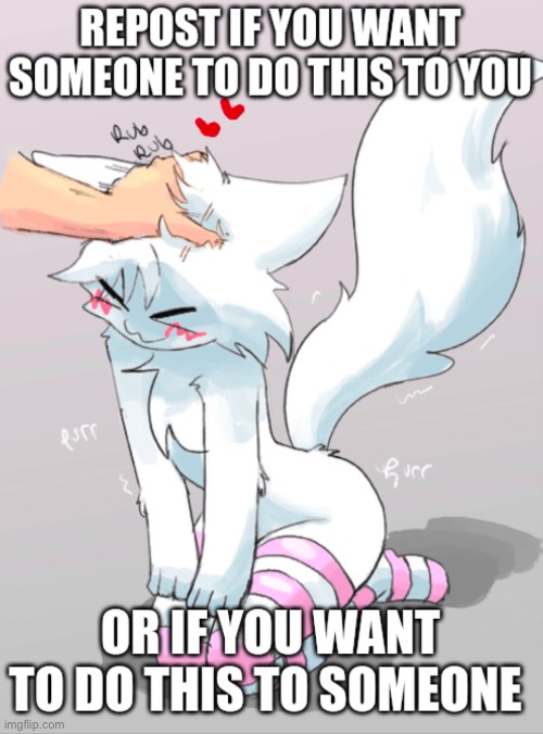 Femboy for later | image tagged in silly cat | made w/ Imgflip meme maker