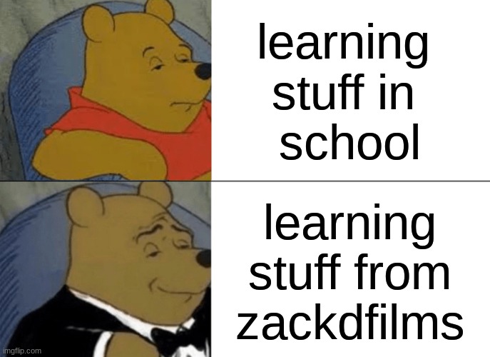 Tuxedo Winnie The Pooh | learning 
stuff in 
school; learning stuff from zackdfilms | image tagged in memes,tuxedo winnie the pooh,facts | made w/ Imgflip meme maker