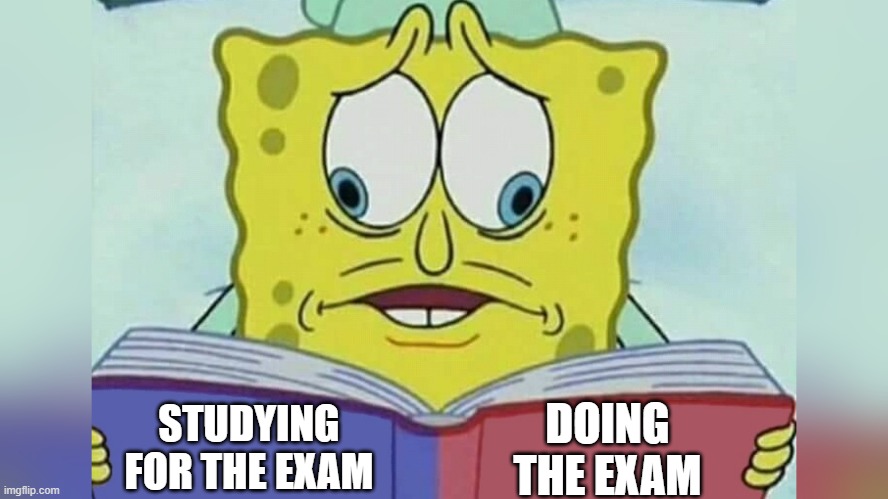 Sponge bob reading book | STUDYING FOR THE EXAM DOING THE EXAM | image tagged in sponge bob reading book | made w/ Imgflip meme maker