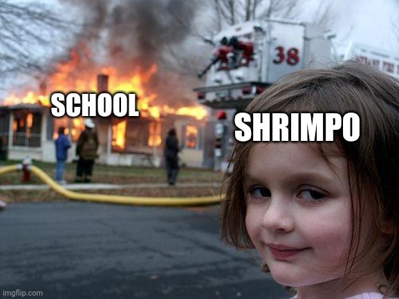 Disaster Girl Meme | SHRIMPO SCHOOL | image tagged in memes,disaster girl | made w/ Imgflip meme maker