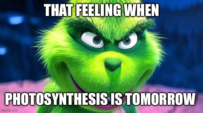 THAT FEELING WHEN; PHOTOSYNTHESIS IS TOMORROW | made w/ Imgflip meme maker