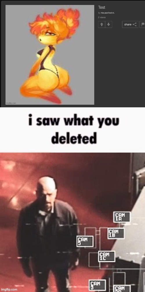 you're gonna burn your dick off anyway | image tagged in i saw what you deleted | made w/ Imgflip meme maker