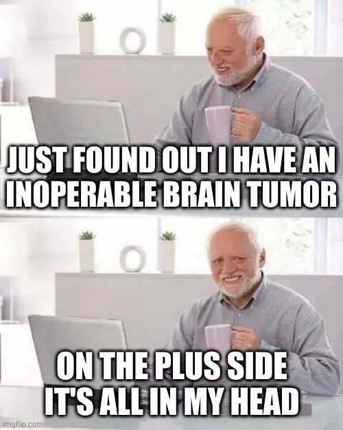 remember not to take life too seriously. you'll never make it out alive | JUST FOUND OUT I HAVE AN
INOPERABLE BRAIN TUMOR; ON THE PLUS SIDE IT'S ALL IN MY HEAD | image tagged in hide the pain harrold | made w/ Imgflip meme maker