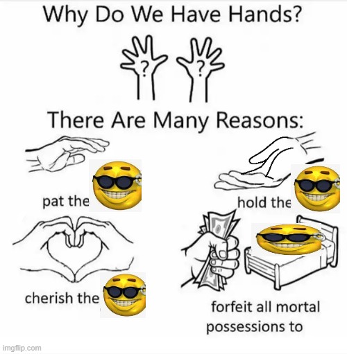 This meme is great. (laugh if you think this is trash xd) | image tagged in why do we have hands all blank | made w/ Imgflip meme maker