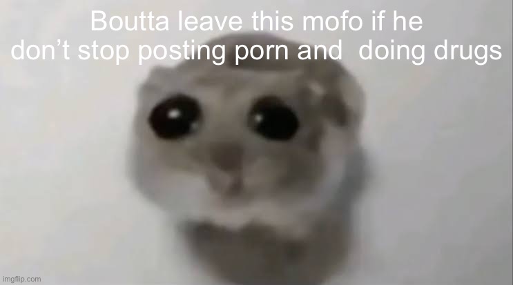 Sad Hamster | Boutta leave this mofo if he don’t stop posting porn and  doing drugs | image tagged in sad hamster | made w/ Imgflip meme maker