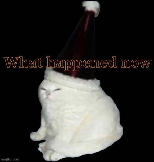 Hi chat | What happened now | image tagged in party hat cat,memes,funny | made w/ Imgflip meme maker