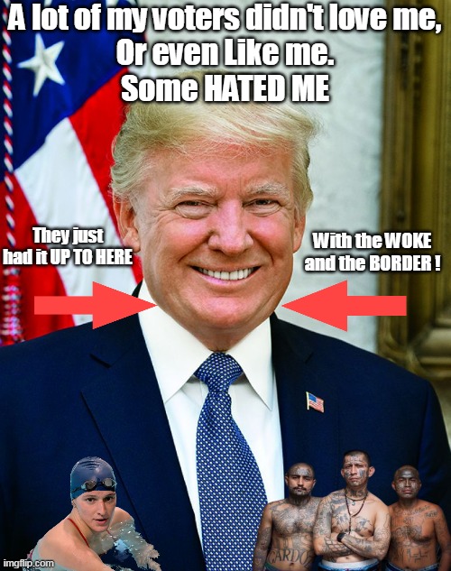 Not GOP members, "Right" or even Conservative  JUST NORMAL | A lot of my voters didn't love me,
Or even Like me.
Some HATED ME; They just had it UP TO HERE; With the WOKE and the BORDER ! | image tagged in trump voters like love gop meme | made w/ Imgflip meme maker