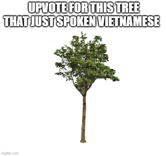 upvote now | UPVOTE FOR THIS TREE THAT JUST SPOKEN VIETNAMESE | image tagged in memes,funny | made w/ Imgflip meme maker