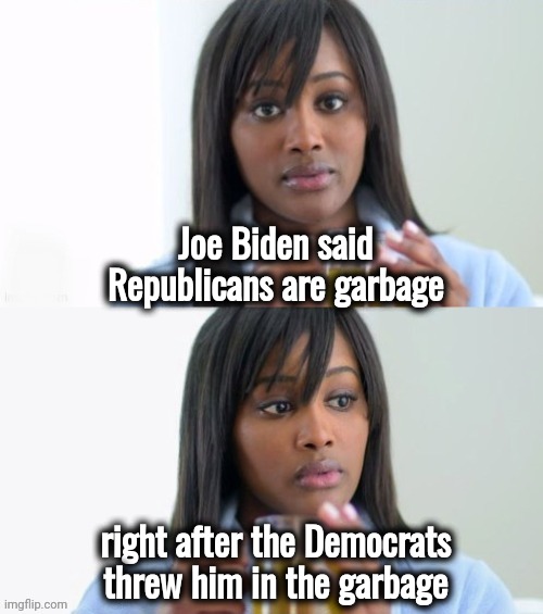 Tea Lady (reversed) | Joe Biden said Republicans are garbage right after the Democrats threw him in the garbage | image tagged in tea lady reversed | made w/ Imgflip meme maker