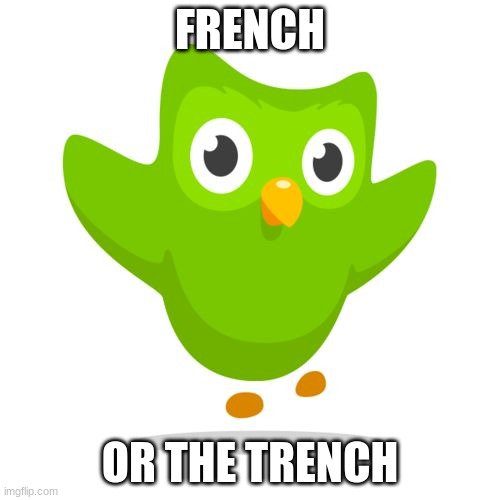 That's why I'm not breaking my 129 day streak | FRENCH; OR THE TRENCH | image tagged in things duolingo teaches you | made w/ Imgflip meme maker