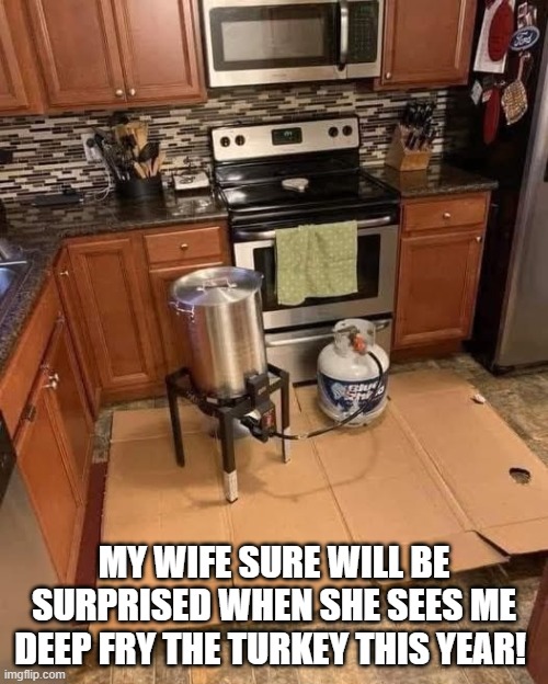 Fried Turkey | MY WIFE SURE WILL BE SURPRISED WHEN SHE SEES ME DEEP FRY THE TURKEY THIS YEAR! | image tagged in turkey,fried turkey,bad weather | made w/ Imgflip meme maker