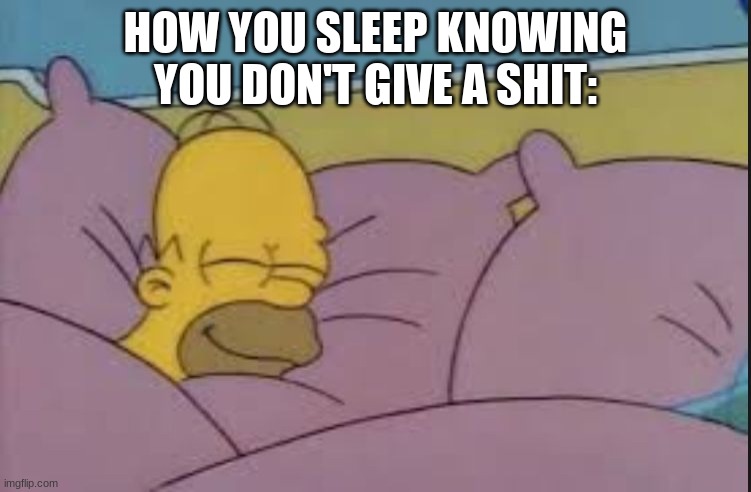 how i sleep homer simpson | HOW YOU SLEEP KNOWING YOU DON'T GIVE A SHIT: | image tagged in how i sleep homer simpson | made w/ Imgflip meme maker