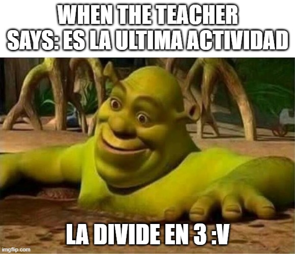 when the teacher says..... | WHEN THE TEACHER SAYS: ES LA ULTIMA ACTIVIDAD; LA DIVIDE EN 3 :V | image tagged in shrek | made w/ Imgflip meme maker