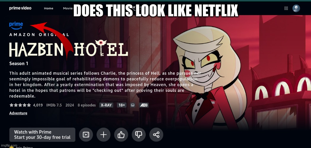 DOES THIS LOOK LIKE NETFLIX | made w/ Imgflip meme maker