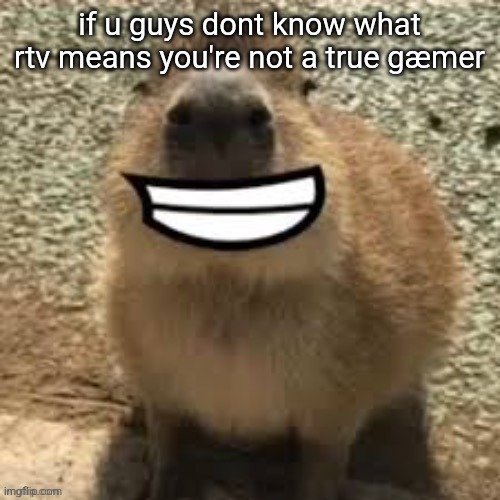 goofy ass capybara | if u guys dont know what rtv means you're not a true gæmer | image tagged in goofy ass capybara | made w/ Imgflip meme maker