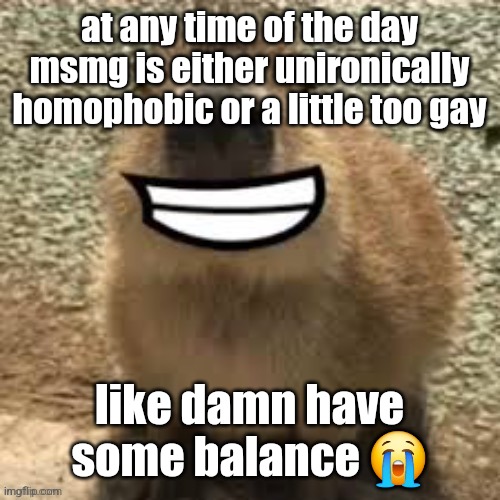 the homophobic ones are the worse though like holy shit its a circlejerk when youre on | at any time of the day msmg is either unironically homophobic or a little too gay; like damn have some balance 😭 | image tagged in goofy ass capybara | made w/ Imgflip meme maker