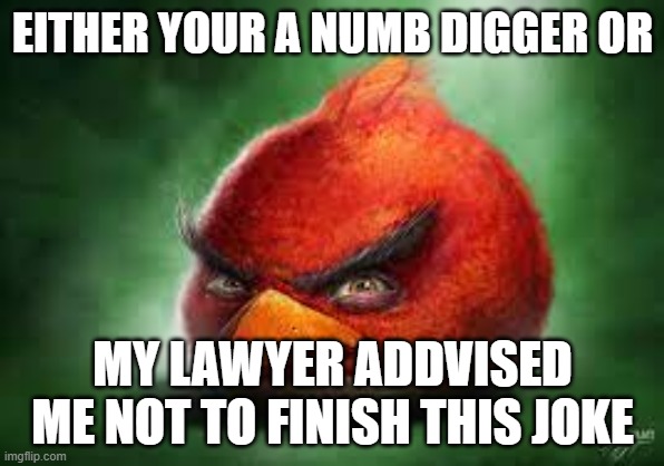 Realistic Red Angry Birds | EITHER YOUR A NUMB DIGGER OR; MY LAWYER ADDVISED ME NOT TO FINISH THIS JOKE | image tagged in realistic red angry birds | made w/ Imgflip meme maker