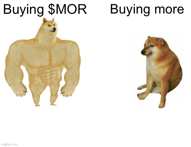 Buying $MOR token | Buying $MOR; Buying more | image tagged in memes,buff doge vs cheems | made w/ Imgflip meme maker