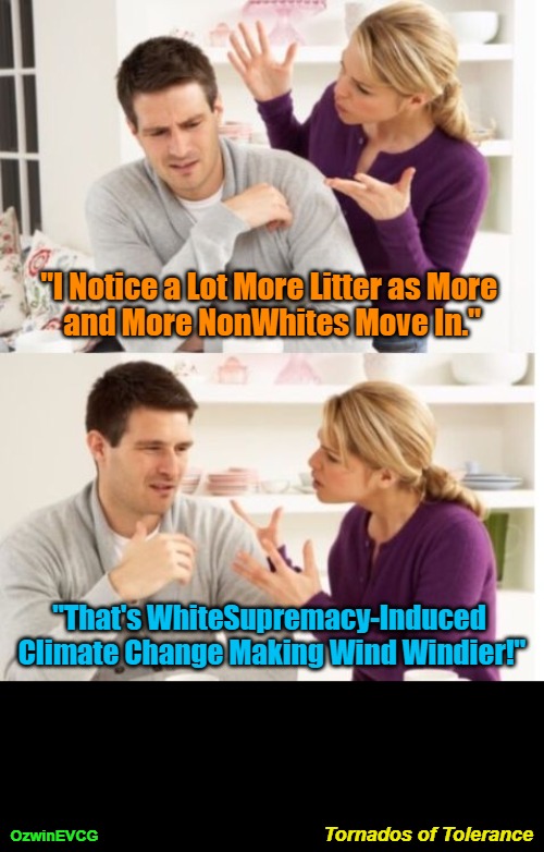 Tornados of Tolerance | "I Notice a Lot More Litter as More 

and More NonWhites Move In."; "That's WhiteSupremacy-Induced 

Climate Change Making Wind Windier!"; OzwinEVCG; Tornados of Tolerance | image tagged in arguing couple reverse soc,political humor,liberal logic,climate change,white people,nonwhite people | made w/ Imgflip meme maker