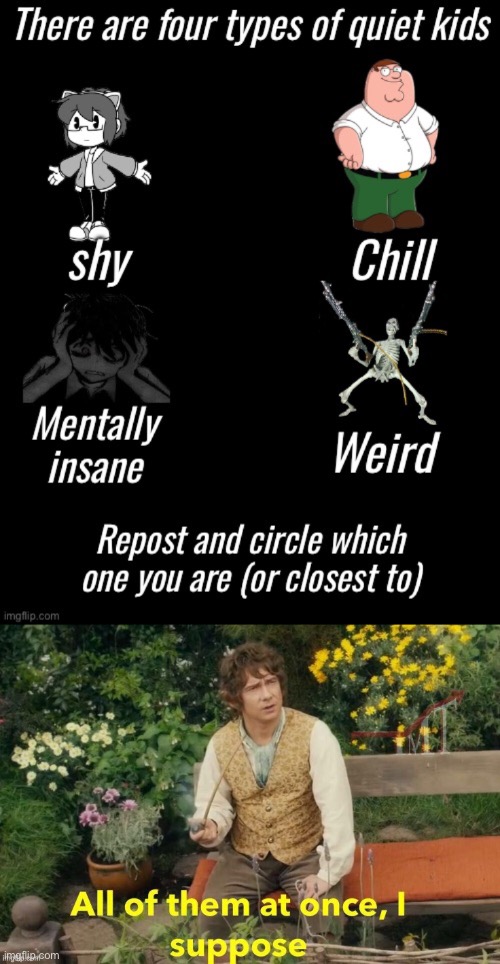 image tagged in four types of quiet kid,all of them at once i suppose | made w/ Imgflip meme maker