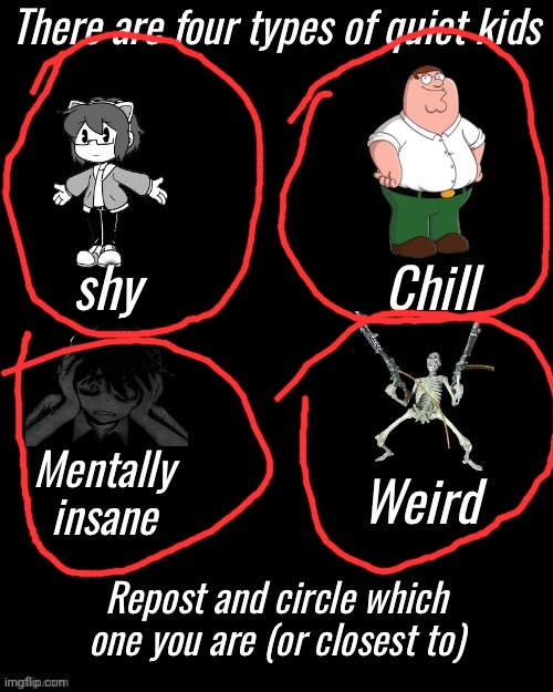 Four types of quiet kid | image tagged in four types of quiet kid | made w/ Imgflip meme maker