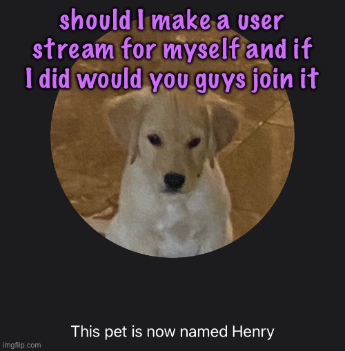 say hi to Henry | should I make a user stream for myself and if I did would you guys join it | image tagged in say hi to henry,cinnabox announcement | made w/ Imgflip meme maker