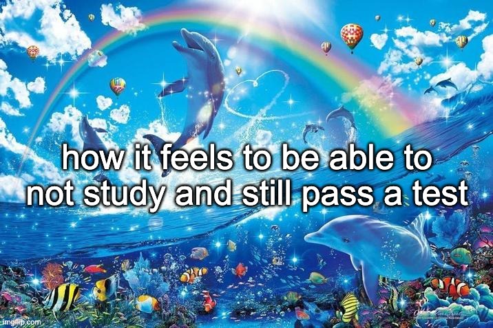 Happy dolphin rainbow | how it feels to be able to not study and still pass a test | image tagged in happy dolphin rainbow | made w/ Imgflip meme maker