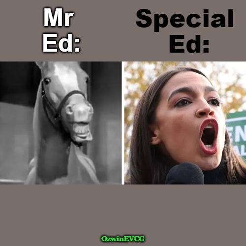 TE's | Special 

Ed:; Mr 

Ed:; OzwinEVCG | image tagged in political humor,animals are nifty,politicians are sucky,crazy aoc,dei hires and liars,liberal logic | made w/ Imgflip meme maker