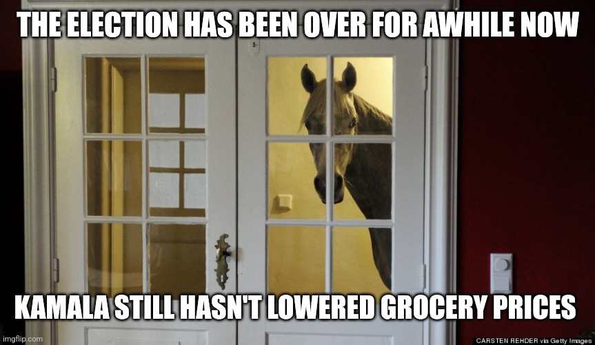 ominous horse | THE ELECTION HAS BEEN OVER FOR AWHILE NOW; KAMALA STILL HASN'T LOWERED GROCERY PRICES | image tagged in ominous horse,funny memes | made w/ Imgflip meme maker