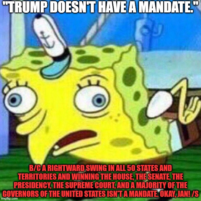 What Is A Mandate? | "TRUMP DOESN'T HAVE A MANDATE."; B/C A RIGHTWARD SWING IN ALL 50 STATES AND TERRITORIES AND WINNING THE HOUSE, THE SENATE, THE PRESIDENCY, THE SUPREME COURT, AND A MAJORITY OF THE GOVERNORS OF THE UNITED STATES ISN'T A MANDATE. OKAY, JAN! /S | image tagged in triggerpaul,donald trump,republicans | made w/ Imgflip meme maker