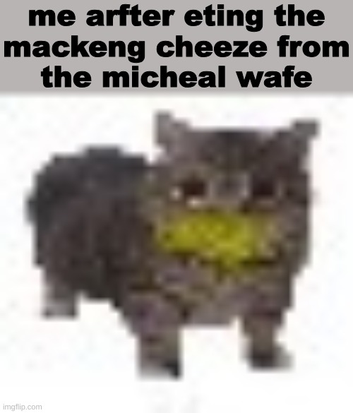 Mackeng cheeze | me arfter eting the
mackeng cheeze from
the micheal wafe | image tagged in micheal wafe,macking cheese,mac and cheese,microwave,cats | made w/ Imgflip meme maker