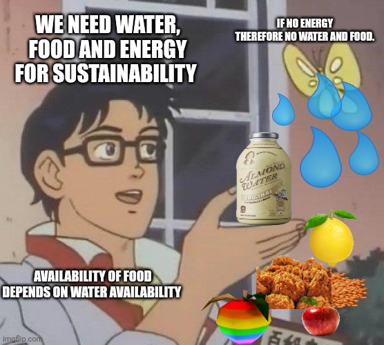 Water, Food and Energy are the three assential dimensions | IF NO ENERGY THEREFORE NO WATER AND FOOD. WE NEED WATER, FOOD AND ENERGY FOR SUSTAINABILITY; AVAILABILITY OF FOOD DEPENDS ON WATER AVAILABILITY | image tagged in memes | made w/ Imgflip meme maker
