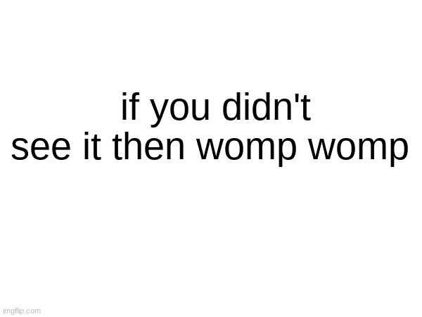 if you didn't see it then womp womp | made w/ Imgflip meme maker
