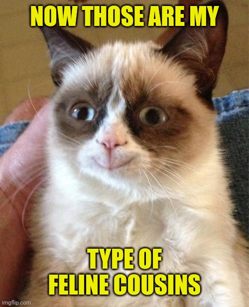 Grumpy Cat Happy Meme | NOW THOSE ARE MY TYPE OF FELINE COUSINS | image tagged in memes,grumpy cat happy,grumpy cat | made w/ Imgflip meme maker