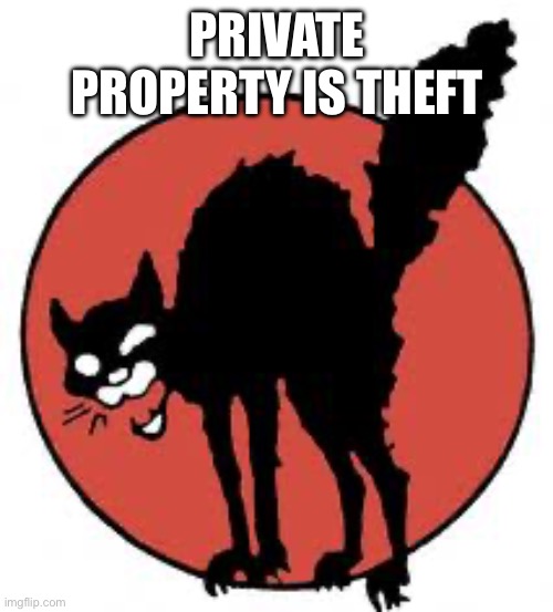 Private property is theft | PRIVATE PROPERTY IS THEFT | image tagged in angry sabo tabby | made w/ Imgflip meme maker