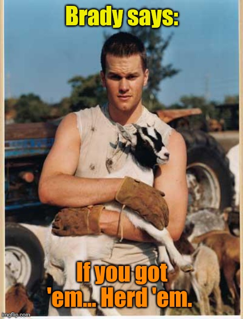 Tom Brady Baby Goat | Brady says: If you got 'em... Herd 'em. | image tagged in tom brady baby goat | made w/ Imgflip meme maker