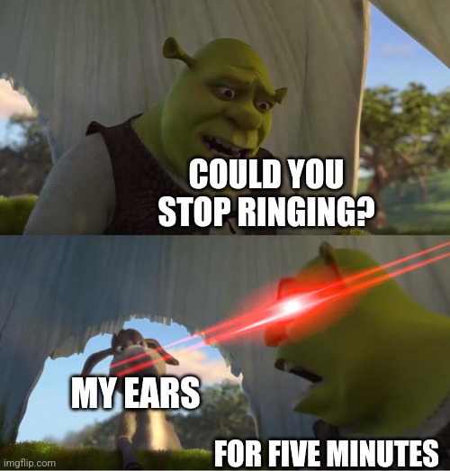 It's so annoying | COULD YOU STOP RINGING? MY EARS; FOR FIVE MINUTES | image tagged in shrek for five minutes | made w/ Imgflip meme maker