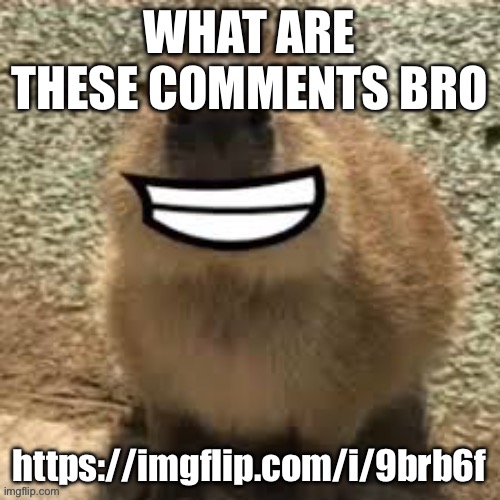 goofy ass capybara | WHAT ARE THESE COMMENTS BRO; https://imgflip.com/i/9brb6f | image tagged in goofy ass capybara | made w/ Imgflip meme maker