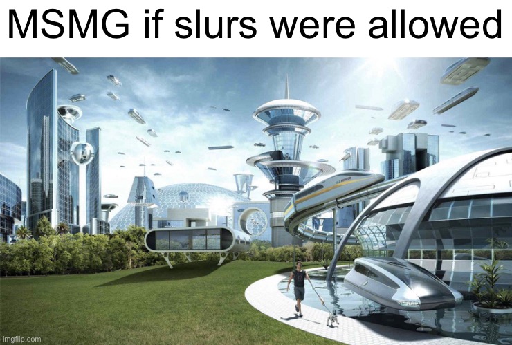 The future world if | MSMG if slurs were allowed | image tagged in the future world if | made w/ Imgflip meme maker