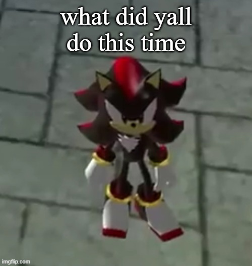 istg every time i look at this stream some more dumb shit happens. anyway i keep thinking about sonic 3 | what did yall do this time | image tagged in shadow small | made w/ Imgflip meme maker