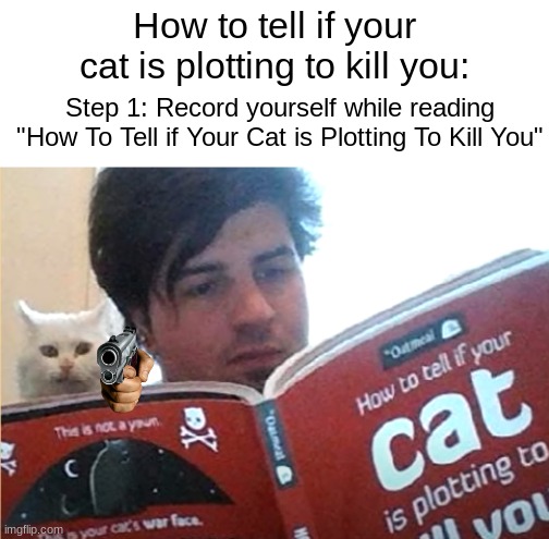 Do this if you have an evil cat | How to tell if your cat is plotting to kill you:; Step 1: Record yourself while reading "How To Tell if Your Cat is Plotting To Kill You" | image tagged in cat,how to tell if your cat is plotting to kill you | made w/ Imgflip meme maker