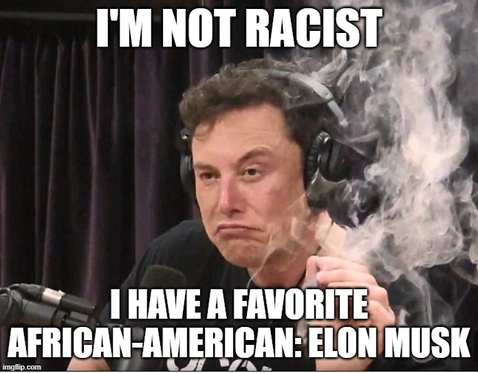 Elon Musk is my favorite African-American | I'M NOT RACIST; I HAVE A FAVORITE AFRICAN-AMERICAN: ELON MUSK | image tagged in elon musk smoking a joint,not racist,not political | made w/ Imgflip meme maker