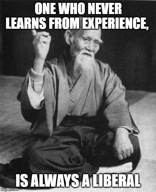 Wise Master | ONE WHO NEVER LEARNS FROM EXPERIENCE, IS ALWAYS A LIBERAL | image tagged in wise master | made w/ Imgflip meme maker