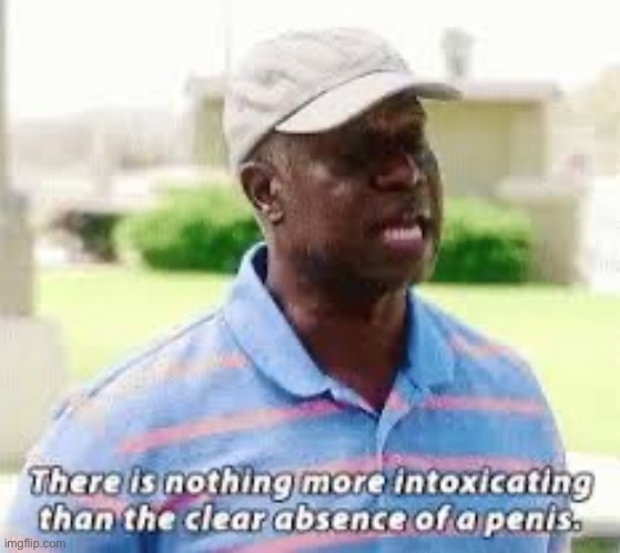 Clear absence of a penis | image tagged in clear absence of a penis | made w/ Imgflip meme maker